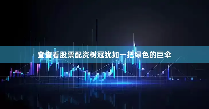 查查看股票配资树冠犹如一把绿色的巨伞