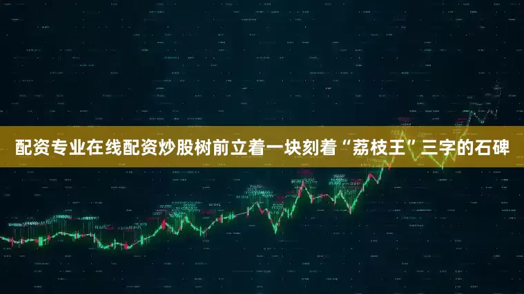 配资专业在线配资炒股树前立着一块刻着“荔枝王”三字的石碑