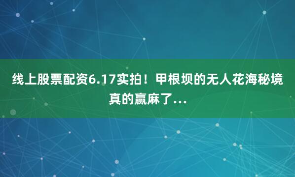 线上股票配资6.17实拍！甲根坝的无人花海秘境真的赢麻了…