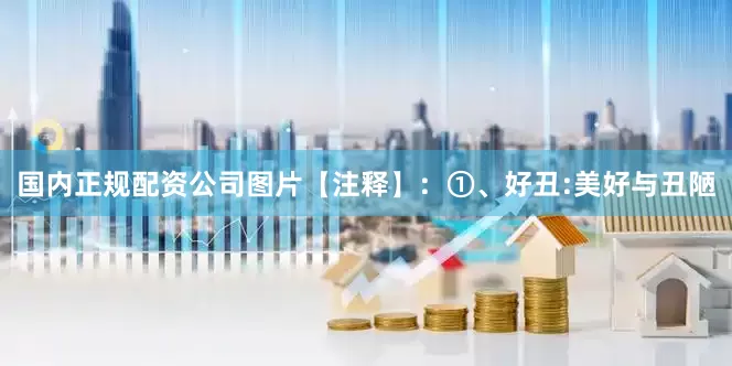 国内正规配资公司图片【注释】：①、好丑:美好与丑陋